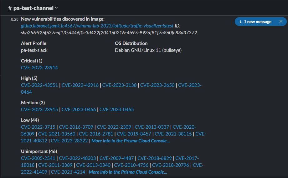 Image vulnerabilities categorized by severity levels and with CVE numbers.